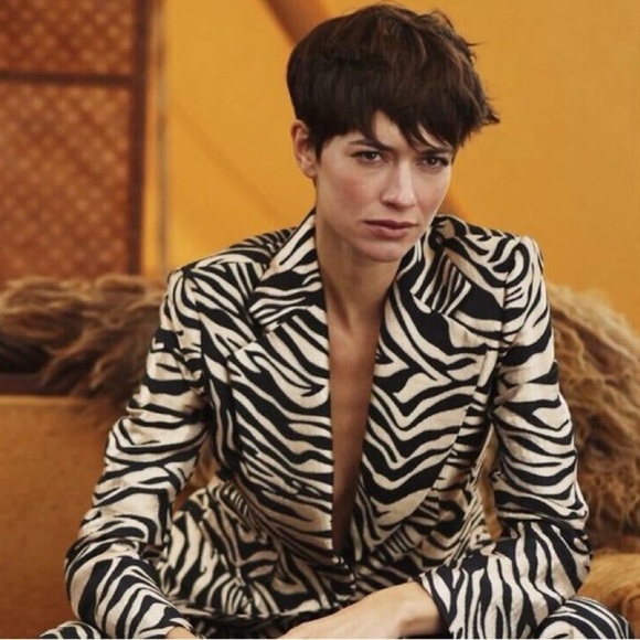 NWT! Banana Republic Zebra Print Eclat Brocade Blazer - Multiple Sizes - Picture 1 of 8
